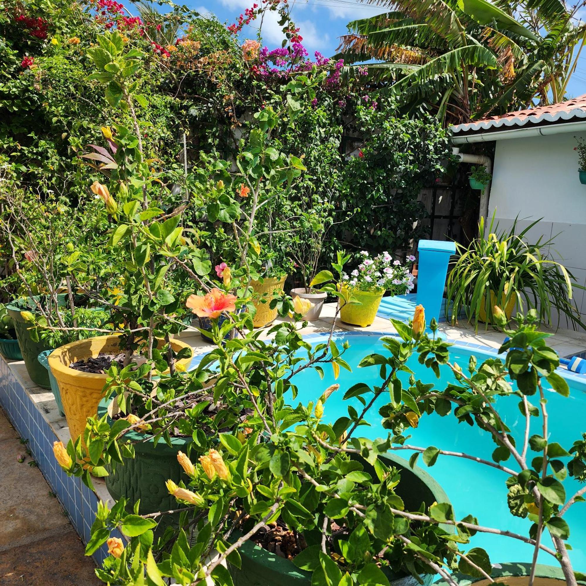 Mandala Dreams Pousada E Portal Holistico Maceió Exteriér fotografie