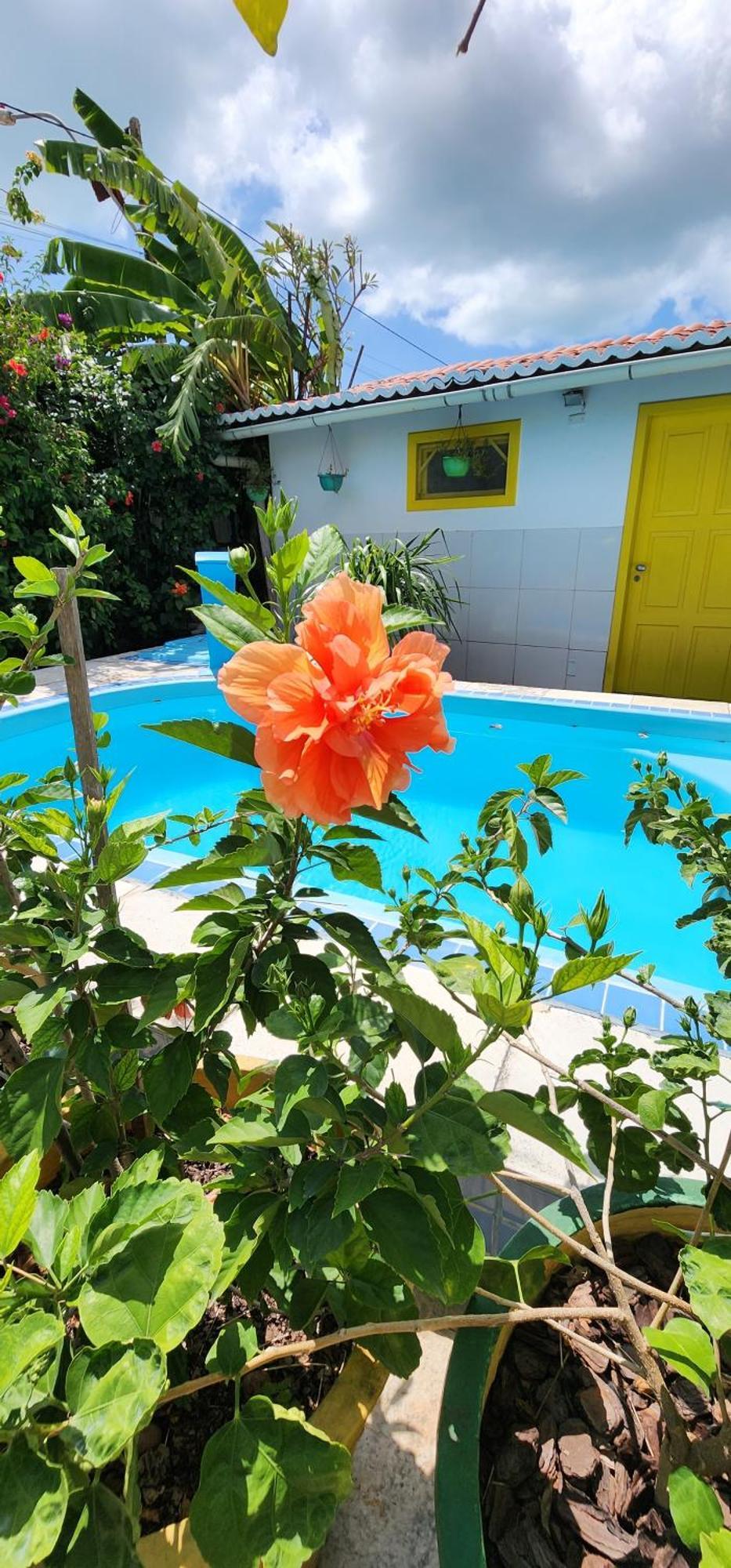 Mandala Dreams Pousada E Portal Holistico Maceió Exteriér fotografie