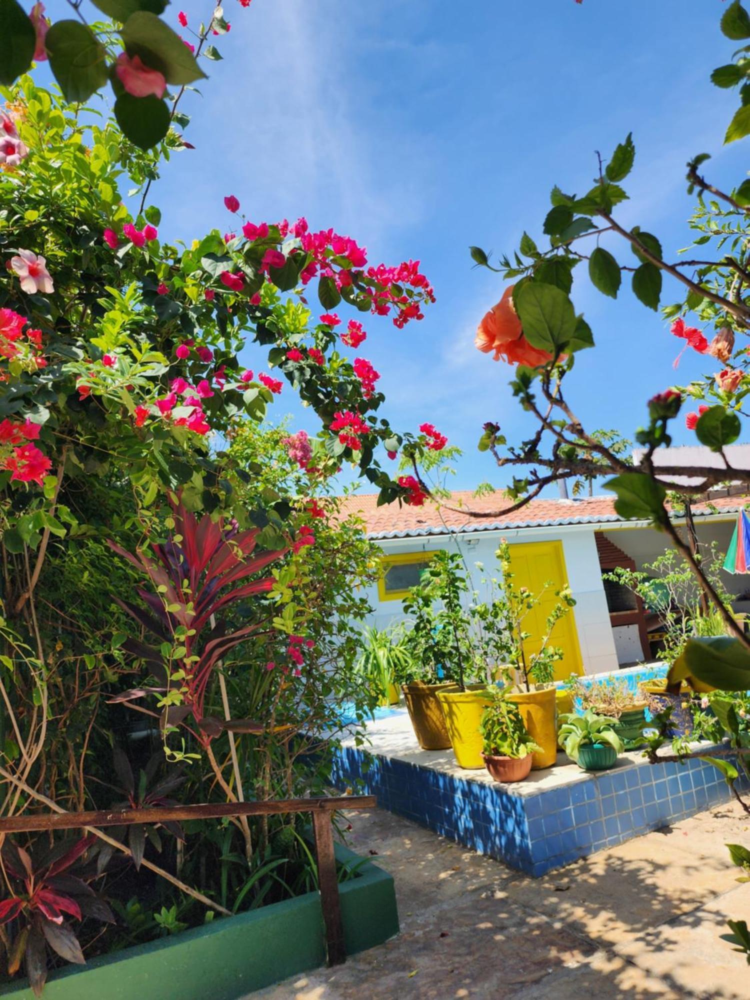 Mandala Dreams Pousada E Portal Holistico Maceió Exteriér fotografie