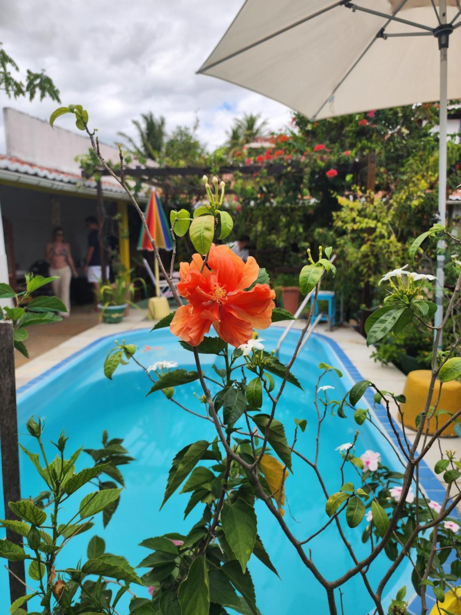 Mandala Dreams Pousada E Portal Holistico Maceió Exteriér fotografie